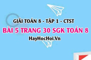 Giải bài 5 trang 30 Toán 8 Tập 1 SGK Chân trời sáng tạo